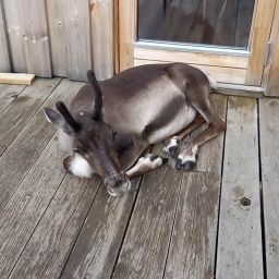 island rundreise 2025_41_